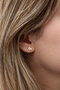 Heliophilia Silver Pendientes de Plata de Ley 925 con Baño de Oro Rosa y Circón